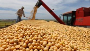 Suspenden el CUIT de 58 productores y acopiadores de granos 