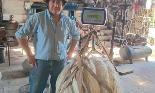 Zapallo gigante: productor cordobés logró superar los 100 kilos