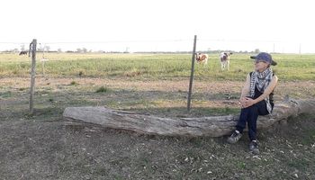 El drama del abigeato para una pequeña productora: "Me faenaron el equivalente a un camión jaula"