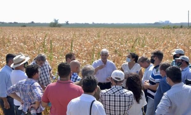 El temor a la intervención activó un comportamiento entre los productores agropecuarios