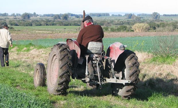 Productores agropecuarios: detalles del Programa de Asistencia de Emergencia al Trabajo y la Producción