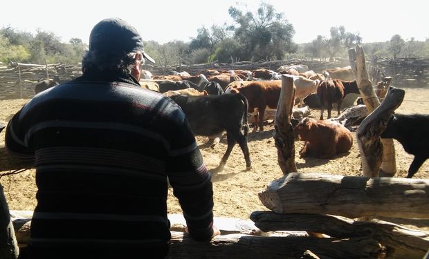 De nuevo: la incertidumbre sobre las políticas agropecuarias frena la recuperación en la confianza de los productores