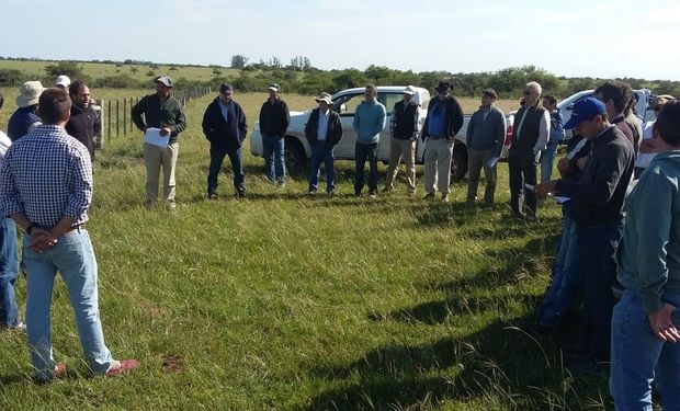 Encuesta a productores CREA: por primera vez desde 2015 cae la superficie agrícola arrendada