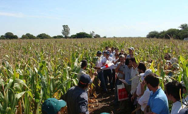 Cruzada inédita por los agroecosistemas: INTA, Aapresid, CREA y la UBA encuestarán a productores de todo el país