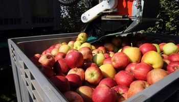 Productores de fruta saldrán a las rutas contra el Gobierno
