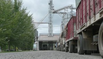 ¿Cuál es el cupo máximo para el subsidio a productores sojeros del norte?