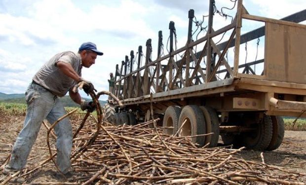 Venezuela: la falta de combustible pone en riesgo a la producción de arroz y azúcar