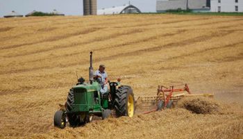 Como mínimo, productores en Estados Unidos recibirán US$ 6 por hectárea