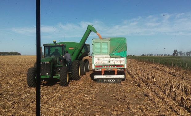 Pequeños y medianos productores advierten sobre el súper cepo: “No hay dudas de que va a tener consecuencias"