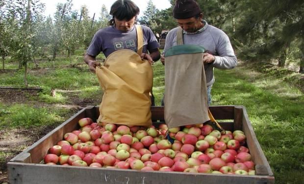 Mayores disparidades de montos en la cadena durante el mes fueron de 19,95 veces para la pera, seguido por la manzana roja.