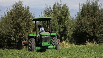 Mendoza: nuevo seguro agrícola cubrirá a 16 mil productores