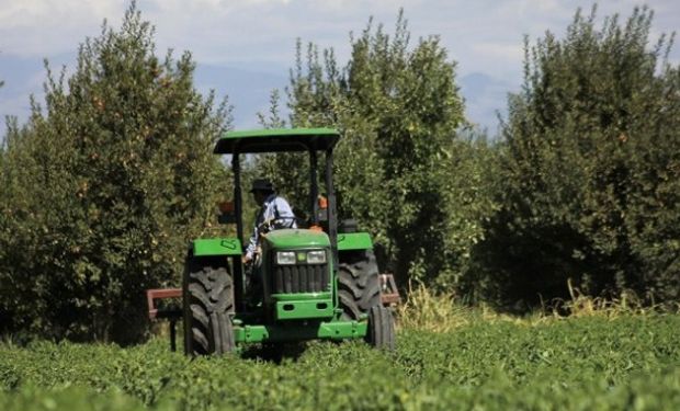 Comienza a regir el nuevo seguro agrícola que cubrirá por heladas y granizo a 16 mil productores de Mendoza.