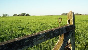Comisión de Enlace de la provincia de Buenos Aires, contra la suba del impuesto inmobiliario rural