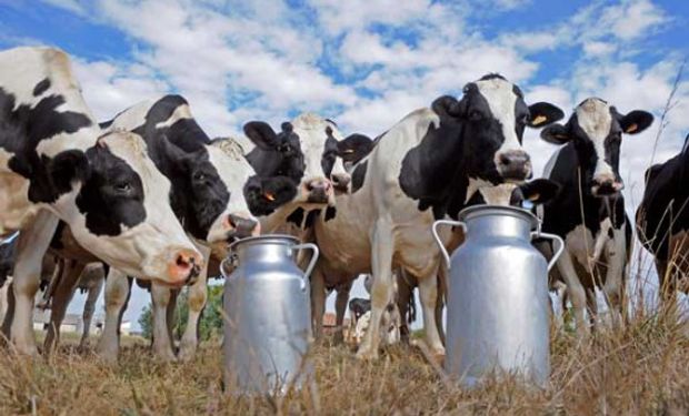 Las gremiales denunciaron que con un precio de US$ 0,32 o US$ 0,33 por litro de leche producido, los tamberos están trabajando a pérdida.