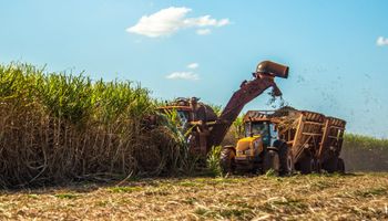 Cana tem salto de 26,6% na produtividade no Centro-Sul