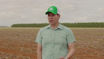 Produtor do Mato Grosso colhe 268,4 sacas por hectare e vence concurso de produtividade de milho