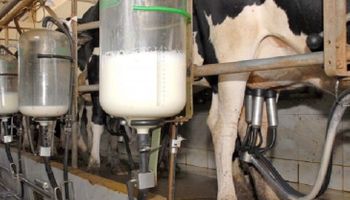 CNA incentiva estados a se mobilizarem contra a importação de leite