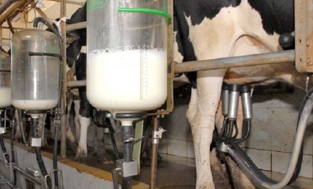 CNA incentiva estados a se mobilizarem contra a importação de leite