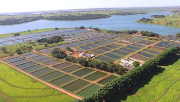 Depois de um ano cheio de entraves, produtor aposta em expansão e inicia uma nova fase na criação de tilápia