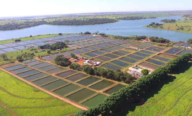 "Se o governo não atrapalhar, já está muito bom. Nossa vocação é produzir", diz Emerson Esteves.