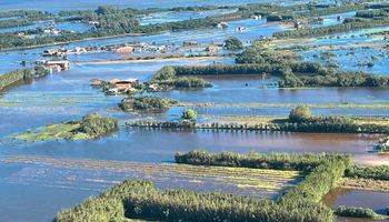 Medida provisória garante repactuação de dívidas rurais no Rio Grande do Sul