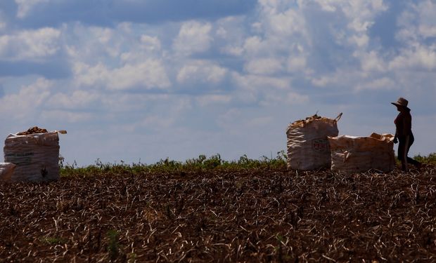 Comissão de Agricultura adia pagamento de dívidas rurais