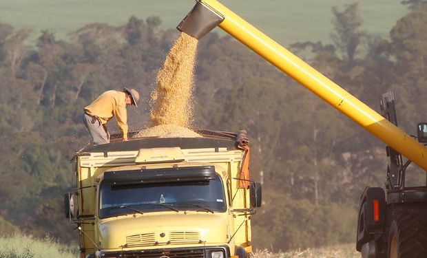 Produtores rurais têm prazo até maio para renegociar dívidas do crédito rural 