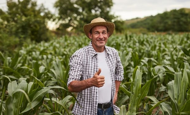 Preço pago ao produtor sobe 5,5% em outubro com mudança de viés