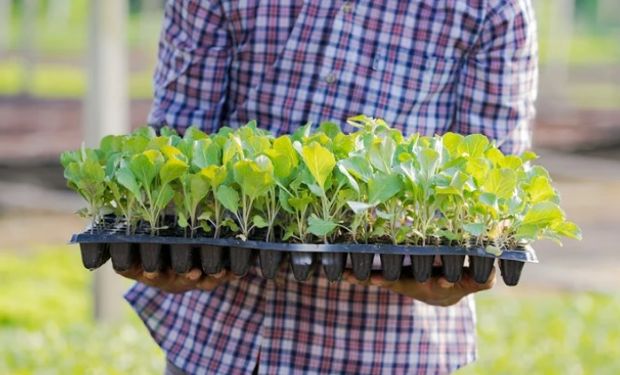 Plataforma tem o objetivo de unir, em um mesmo ambiente virtual, produtos agropecuários para venda, compra e transporte