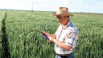 Deputado propõe regra própria para Imposto de Renda de produtores rurais