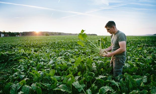 Cepea: preços pagos ao produtor aumentaram 0,3% no 1º trimestre