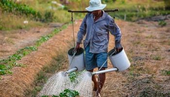 Comissão da Câmara aprova projeto que altera aposentadoria para produtor rural