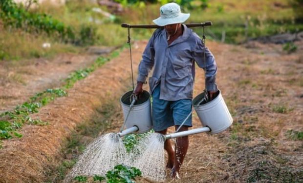 PL abrange o agricultores que atuam em imóvel rural com até quatro módulos fiscais como segurado especial da Previdência Social