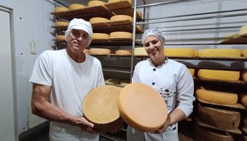 Produtor suíço encontra em Goiás cenário ideal para seus queijos especiais e conquista prêmios pelo mundo