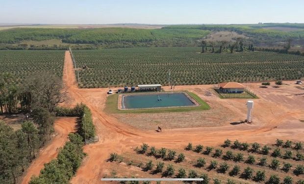 Fazenda São Domingos também investiu em tecnologias como tratores autônomos e sistemas computadorizados de pulverizaçã. (Foto-Divulgação)