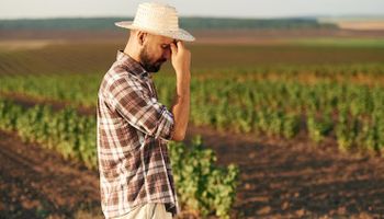 Brasil caminha para uma "jaboticaba": agricultura sem seguro rural