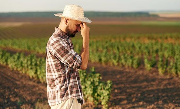 Brasil caminha para uma "jaboticaba": agricultura sem seguro rural