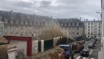 Produtores franceses jogam toneladas de esterco em prédios do governo