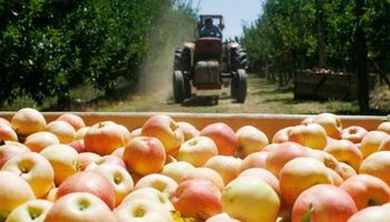 Programa de asistencia a productores frutícolas y afines para trabajadores de algunas zonas de Neuquén