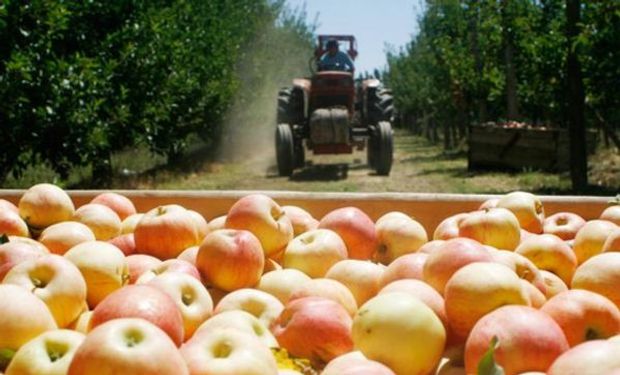 Programa de asistencia a productores frutícolas y afines para trabajadores de algunas zonas de Neuquén