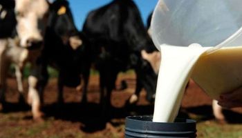 Governo lançará programa com 300 mil embriões para melhorar genética do rebanho da agricultura familiar