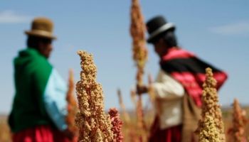 Agroindustria lanzó programa de inserción económica para diez provincias