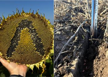 El programa inédito que aumenta los rindes: "Si cultivar en el campo es servir a la patria, nutrir los cultivos es hacerla grande"