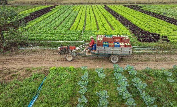 Isenção de IPI para produtores na compra de veículos novos avança na Câmara