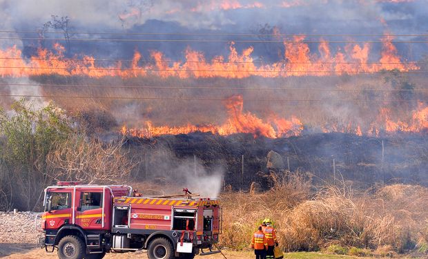 Projeto classifica incêndios florestais como terrorismo, com penas de até 30 anos de prisão 