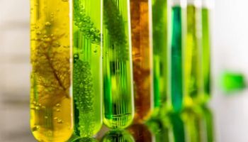 Diesel verde e SAF passam a integrar o RenovaBio 