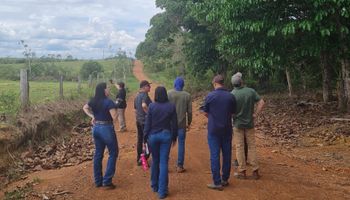 Projeto de soja na Amazônia aposta em agricultura regenerativa e rastreável