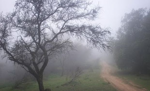 Probabilidad de lluvias sobre varias regiones