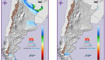 Se esperan lluvias y tormentas aisladas sobre el NEA