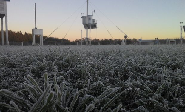 Clima: qué dice el pronóstico para la primera semana de junio